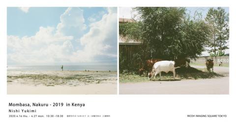 Mombasa，Nakuru -2019 in Kenya