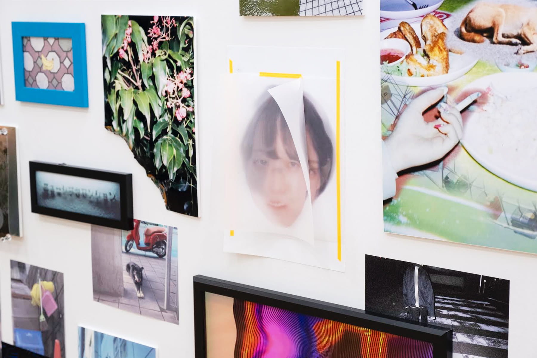 picture「photographic」 - 4