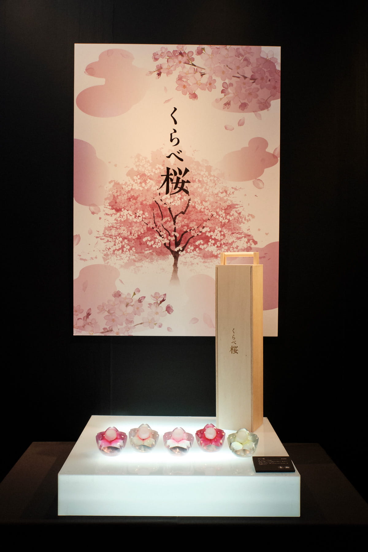 くらべ桜 - 1
