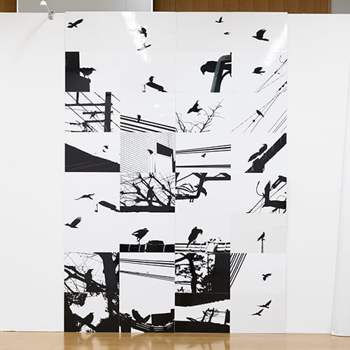 自然の造形・烏