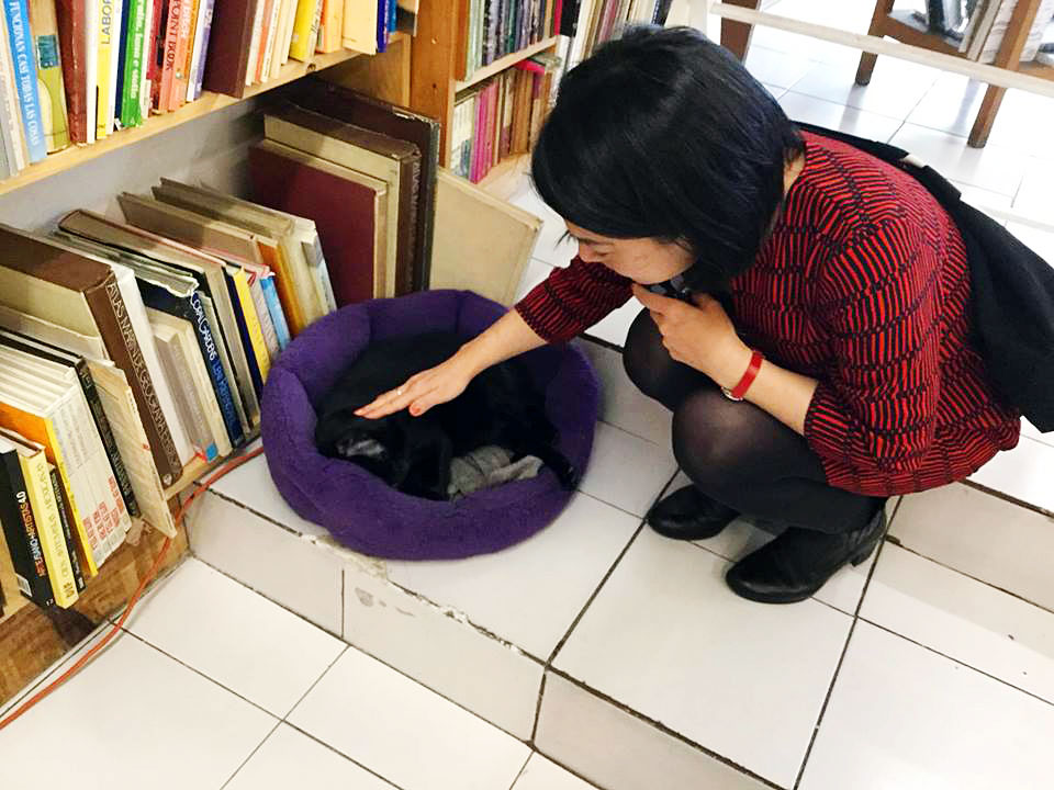 ローマ地区にある古本屋