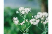 須田マリザ 写真展『eternity in a day』